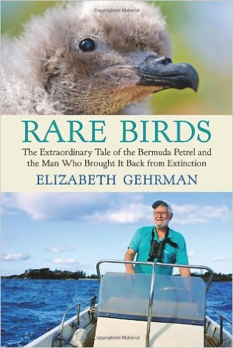 Rare Birds The Extraordinary Tale of the Bermuda Petrel and the Man Who Brought it Back from Extinction by Elizabeth Gehrman
